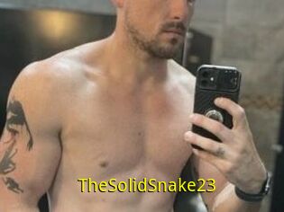 TheSolidSnake23
