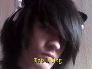 This_is_dog