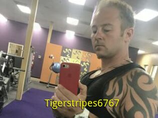 Tigerstripes6767