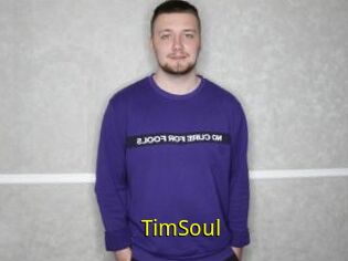 TimSoul