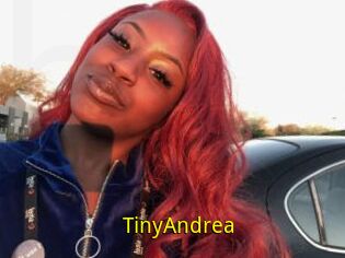 TinyAndrea