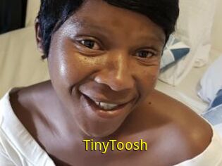 TinyToosh