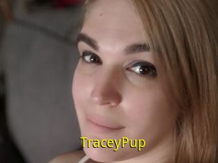 TraceyPup