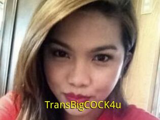 TransBigCOCK4u