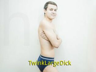 TwinkLargeDick