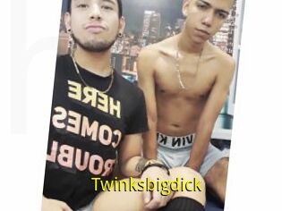 Twinksbigdick
