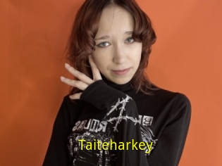 Taiteharkey