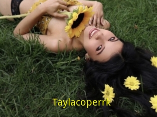 Taylacoperrk