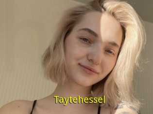 Taytehessel
