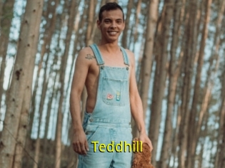 Teddhill