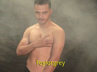 Teylorgrey