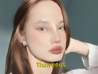 Thaivenus