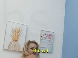 The_cat