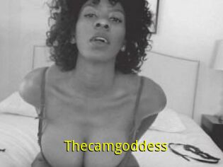Thecamgoddess