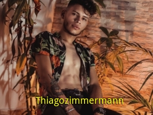 Thiagozimmermann