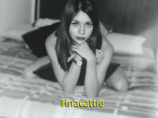 Tinacattie