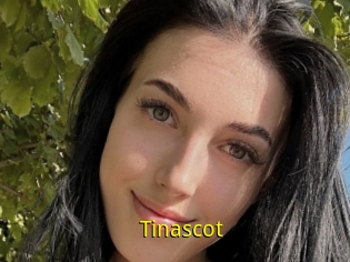 Tinascot