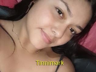 Tinnimark
