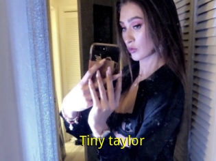 Tiny_taylor
