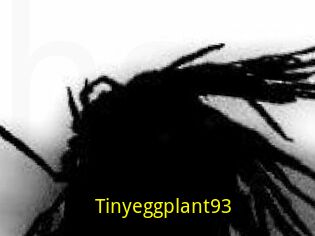Tinyeggplant93