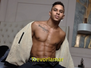 Trevorlamar