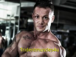 Tridentmuscles4u