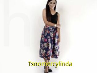 Tsnomercylinda