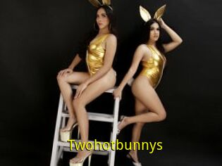 Twohotbunnys