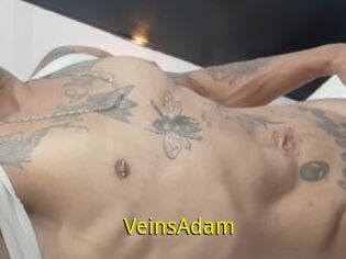 VeinsAdam