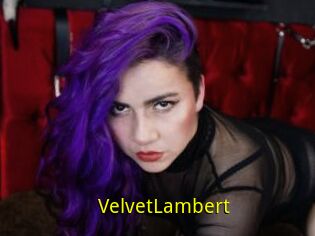 VelvetLambert