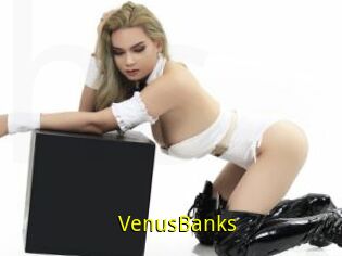 VenusBanks