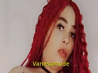 Vanesamude