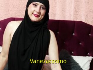 Vanezacosmo