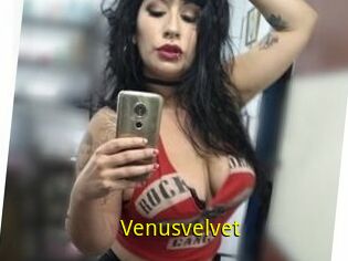 Venusvelvet