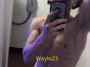 Waylo23