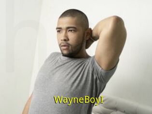 WayneBoyI