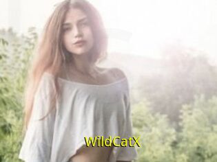 Wild_CatX