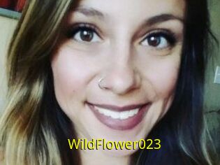 WildFlower023