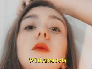 Wild_Amapola