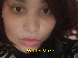 Winter_Maze