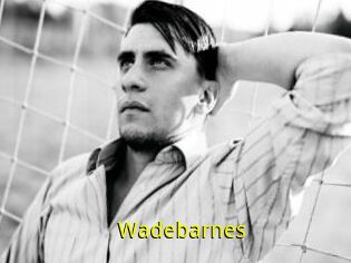 Wadebarnes
