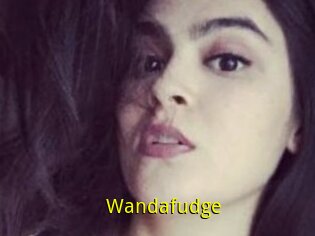 Wandafudge