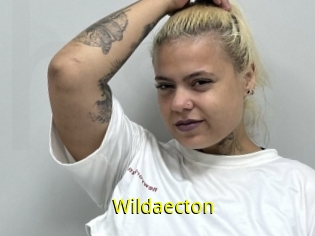 Wildaecton