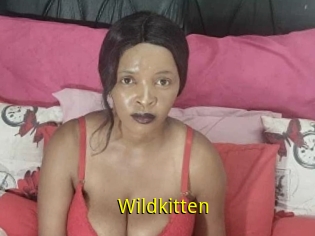 Wildkitten