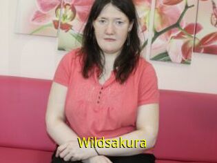 Wildsakura