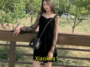 Xiaokea1