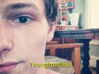 Youngbudstud