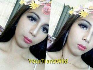 YourTransWild