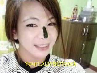 YourLADYBOYcock