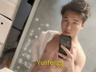 Yunfengg